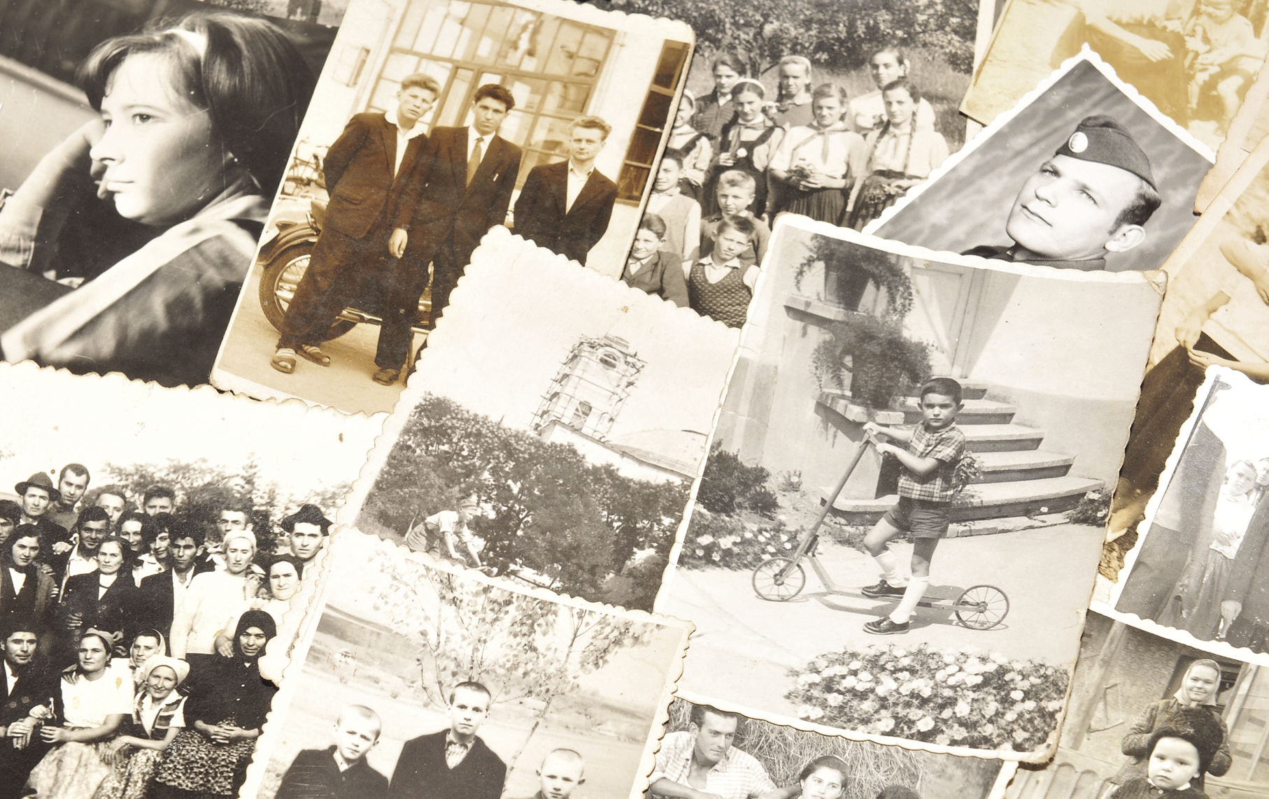 genealogy